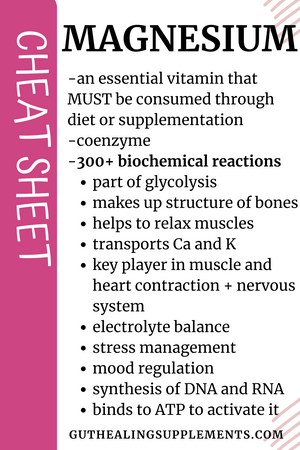 Ultimate Digest Bundle