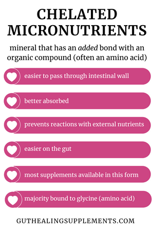 Ultimate Digest Bundle