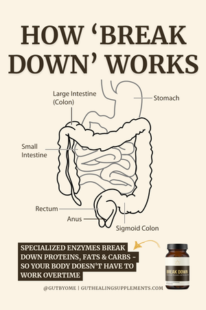 Break Down