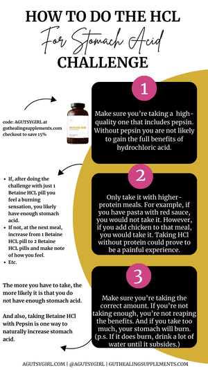 Ultimate Digest Bundle