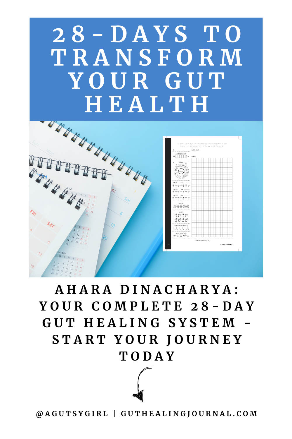 Ahara Dinacharya [PDF download]