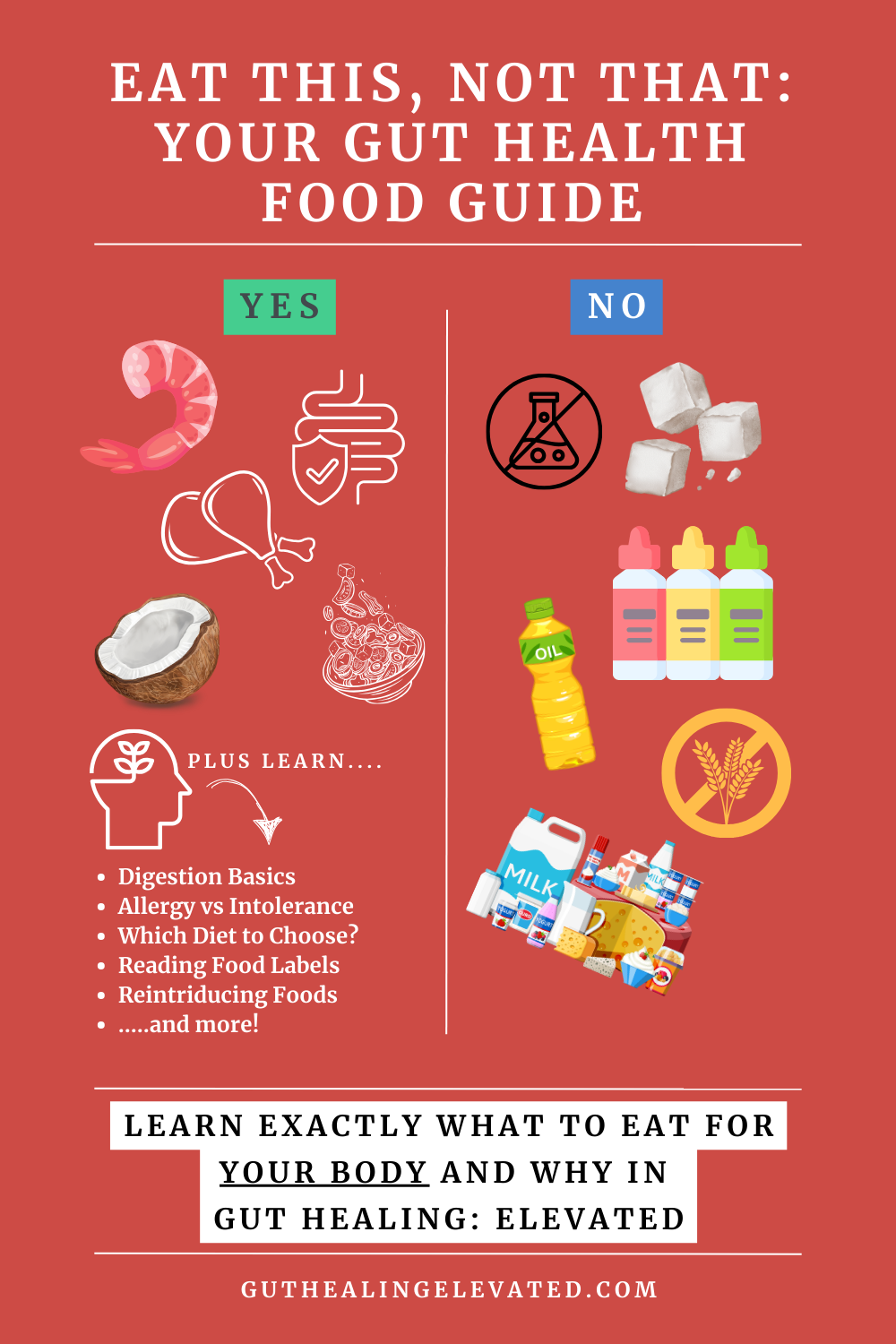 Gut Healing: ELEVATED