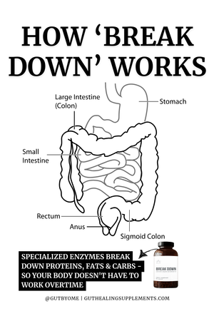 Break Down