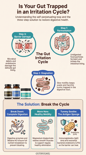 The Gutsy Bundle