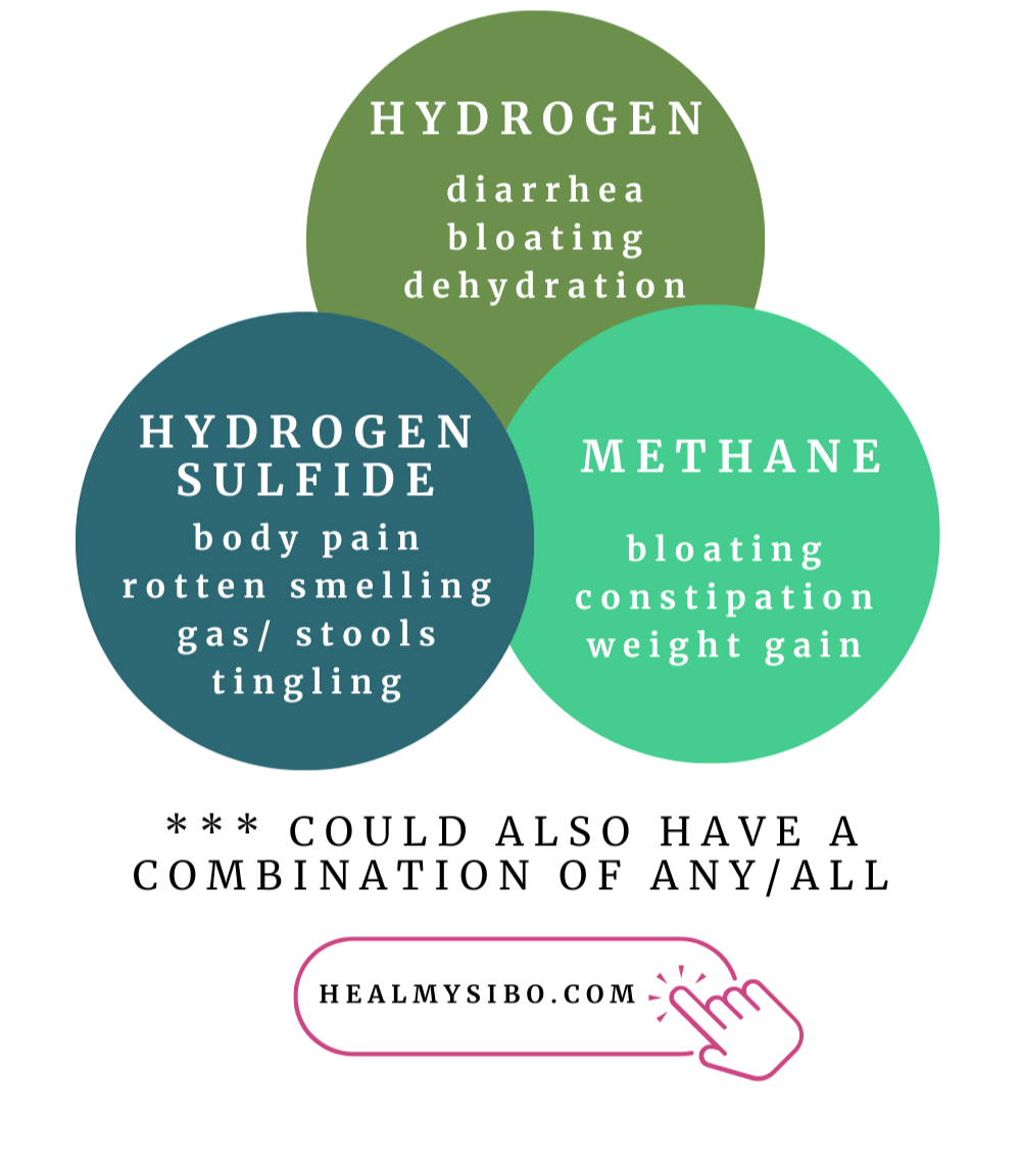 Reasonable SIBO [PDF]