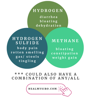 Reasonable SIBO [PDF]