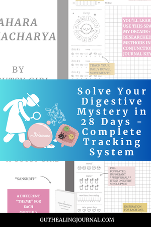 Ahara Dinacharya [PDF download]